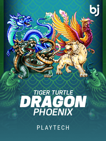 Tiger Turtle Dragon Phoenix game cover
